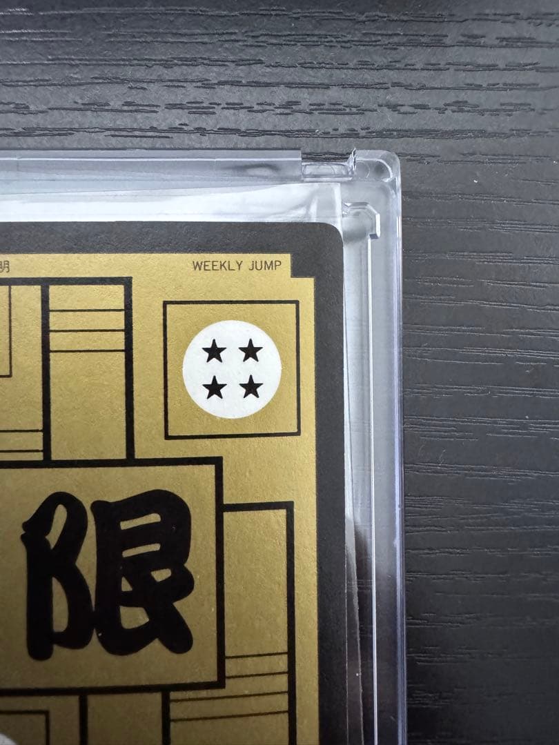 ドラゴンボール めちゃんこプロジェクト IV 孫悟飯 国内正規品 抽プレ