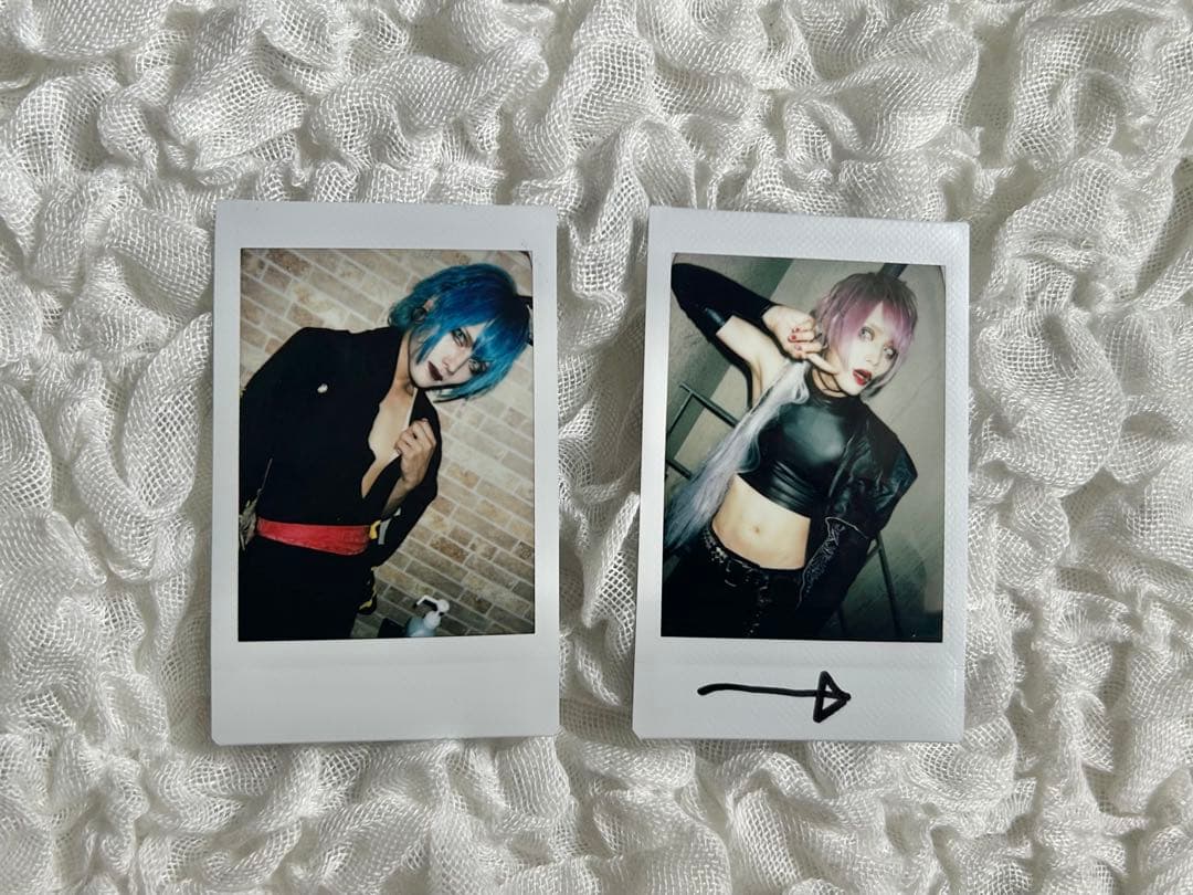 CHAQLA. 鷹乃助 チェキ セット⑦ 36枚