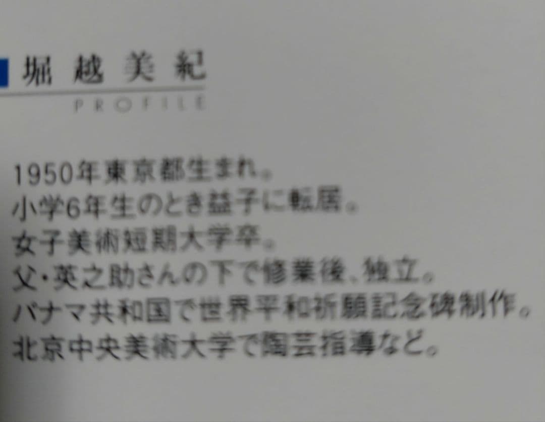 益子『堀越美紀』台皿