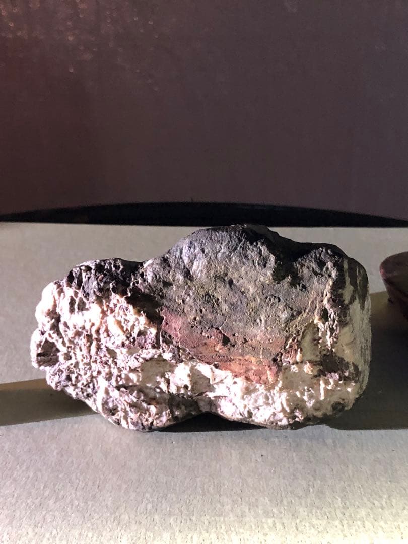 菊花石　自然石 コレクション 木製台座付き