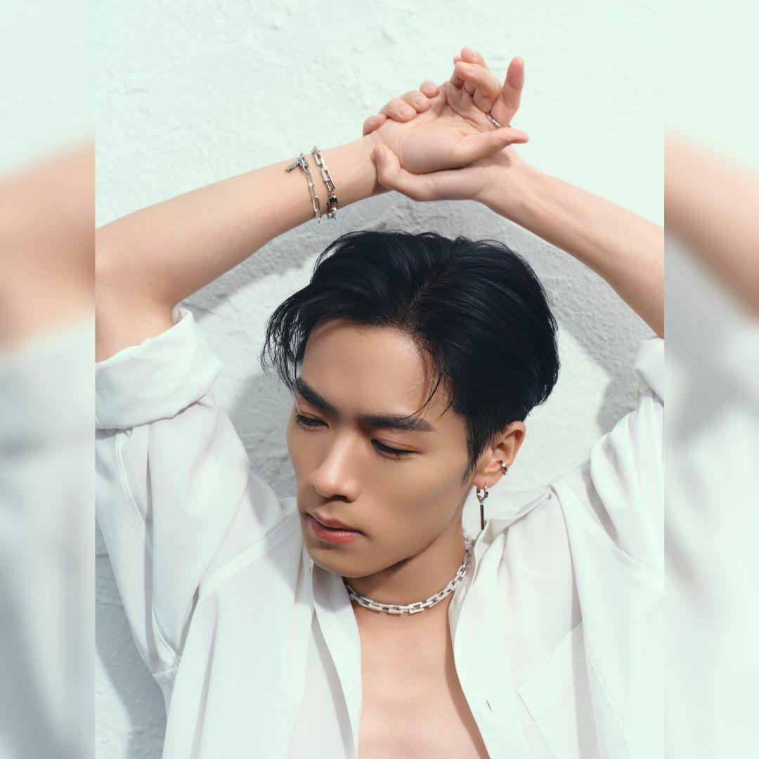 川村壱馬 プロデュース AUREA ピアス Silver925