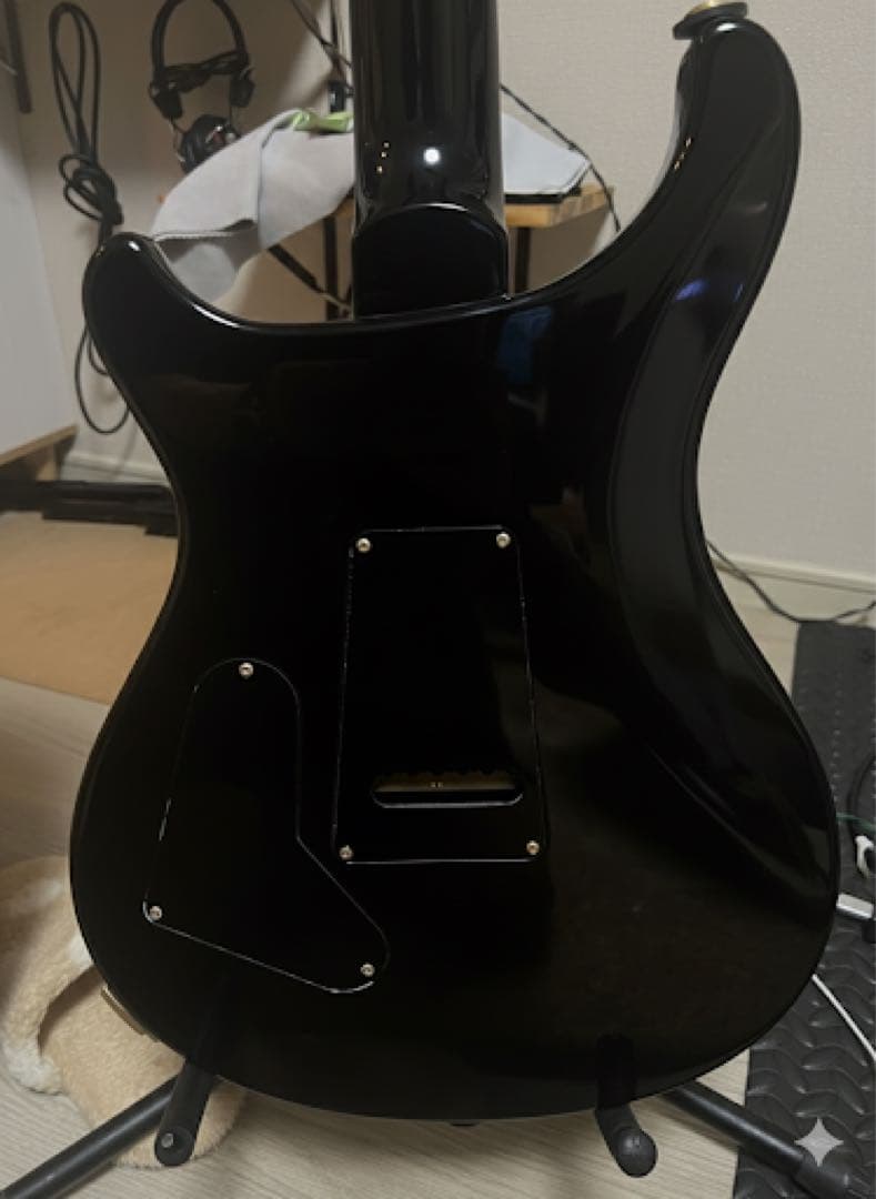 ギター PRS Custom 24 30th Anniversary 10-top