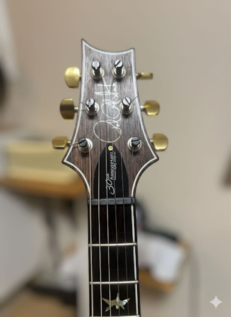 ギター PRS Custom 24 30th Anniversary 10-top