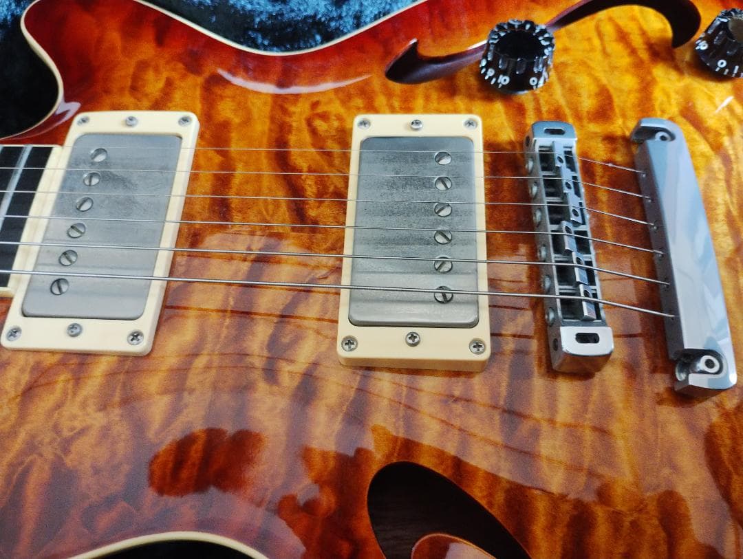 T's guitars ARC Hollow キルトトップ