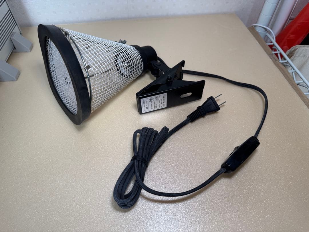 WildPlanet850ケース他フトアゴヒゲトカゲ飼育セット（現地引渡し）