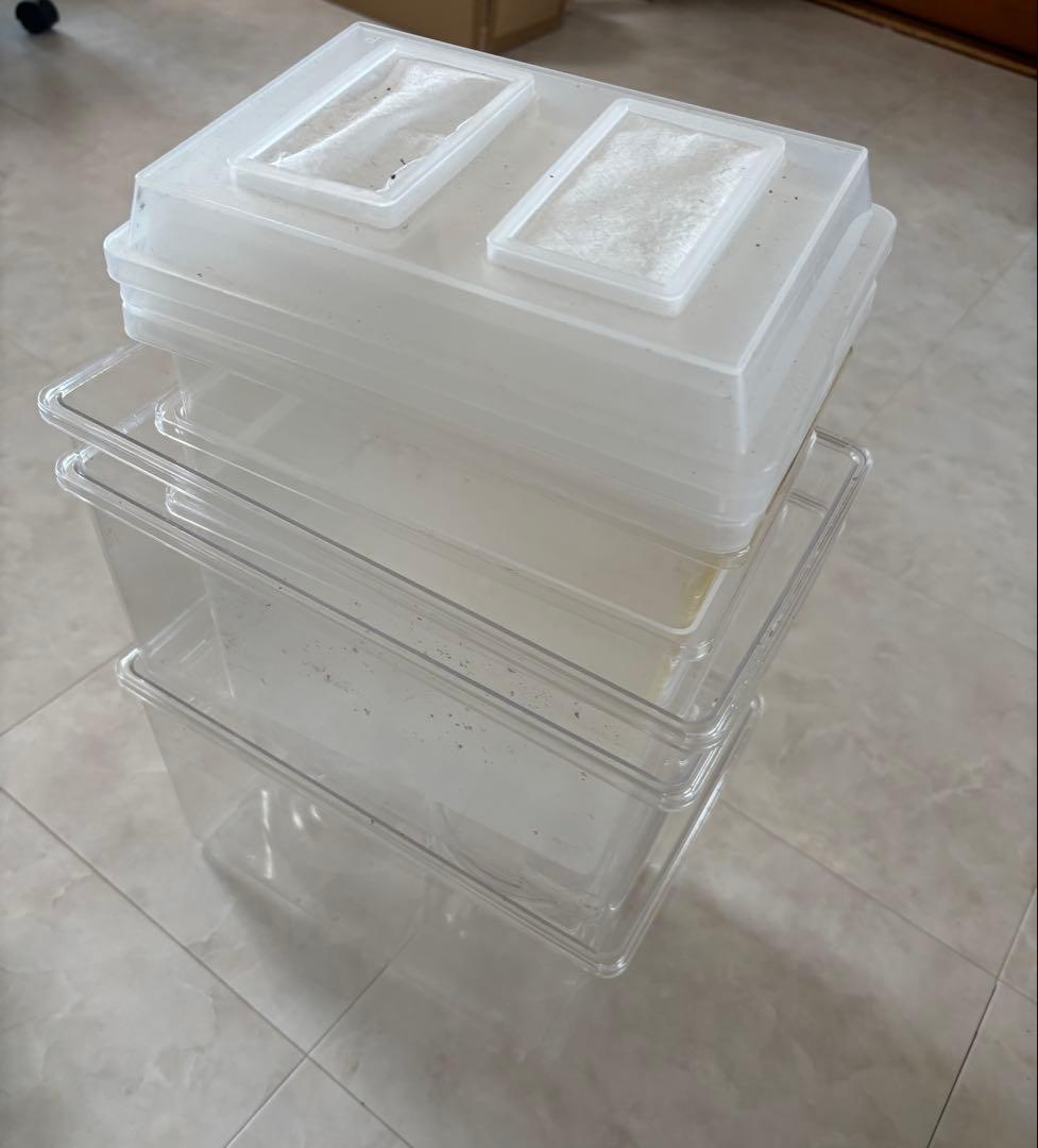 シーラケース　コバエシャッター 昆虫飼育ケース sanko クリーンケースセット