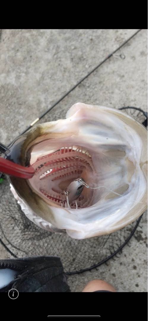 上から左3つ目、5つ目、6つ目 上から右2つ目、4つ目、6つ目