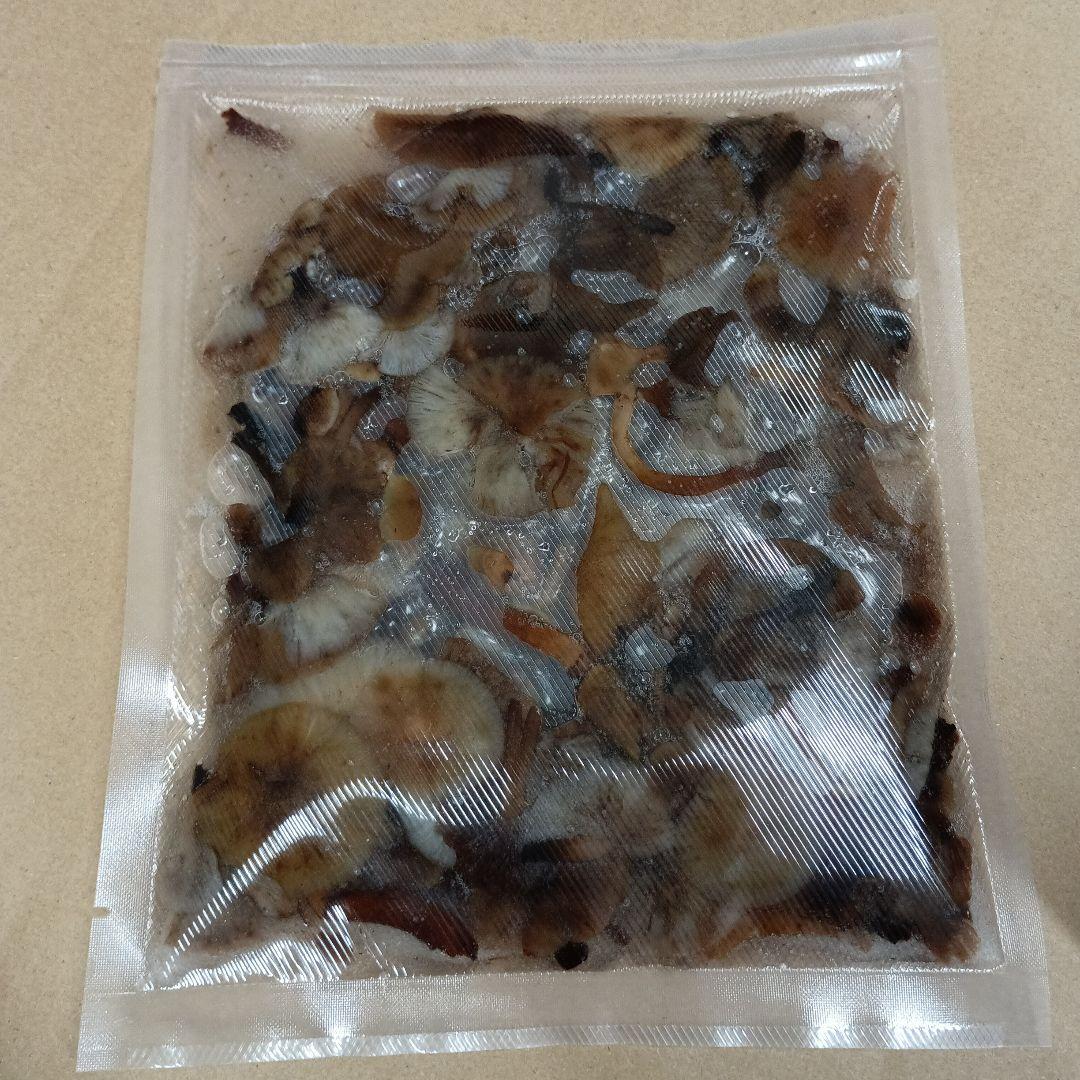 秋田県産天然ナラタケ 塩蔵５００g