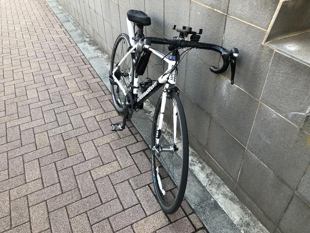 【船橋直接引渡のみ】Khodaa Bloom FARNA 700-105