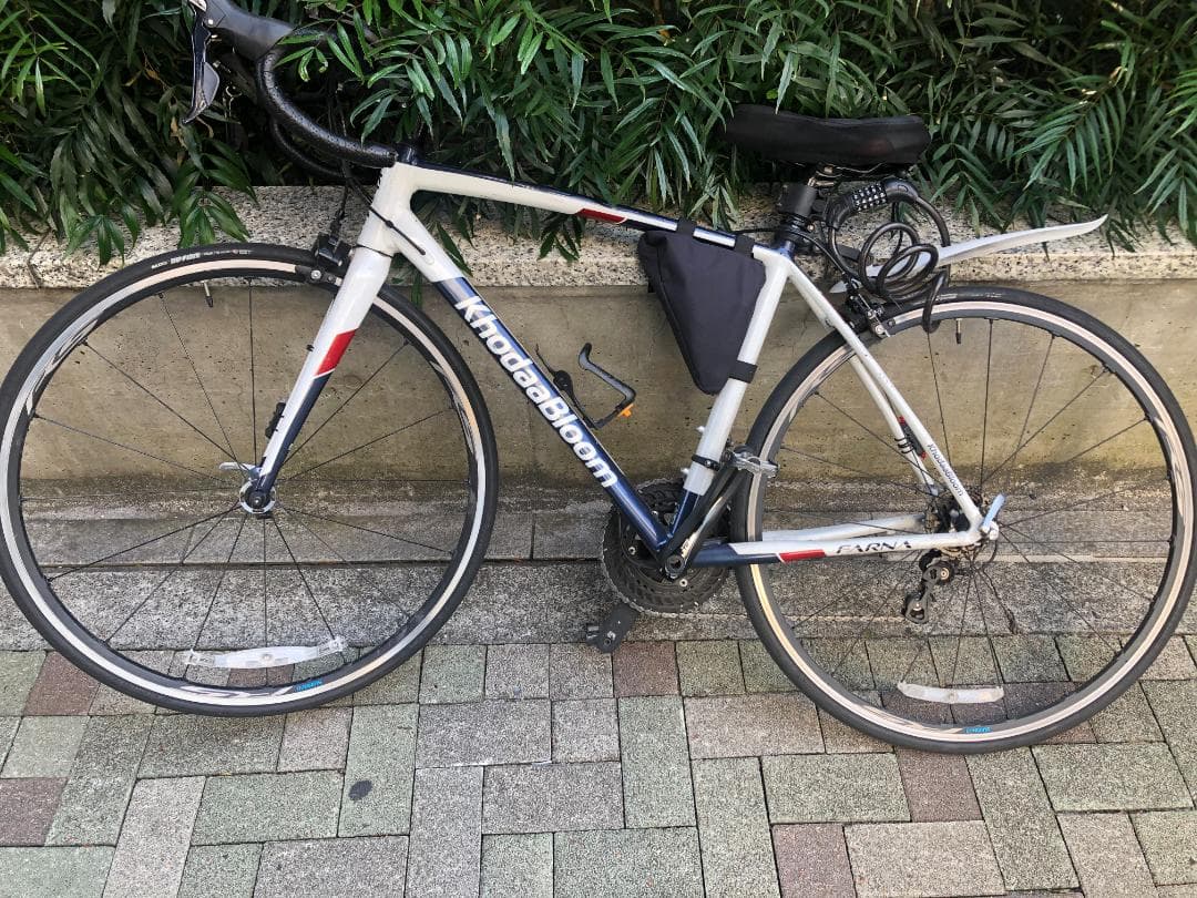 【船橋直接引渡のみ】Khodaa Bloom FARNA 700-105