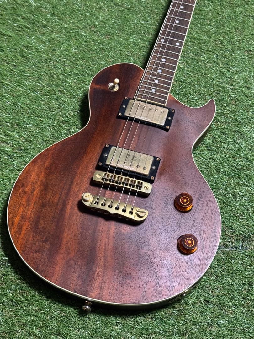 N*n様 Aria Pro2 アリアプロツー　PE-MAHO II/G