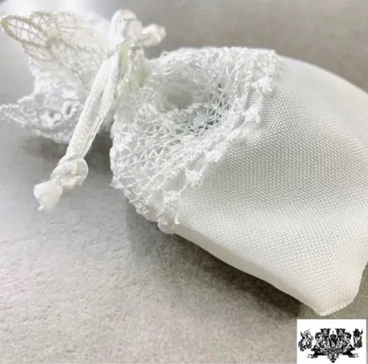 宇宙の流れ星の粉 ✨✨✨✨ レースホワイトフェアリー　✨✨✨