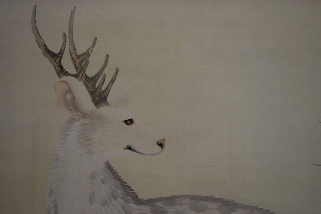 真作/諸星成章/鹿にコウモリ図/鹿に蝙蝠/布袋屋掛軸HE-763