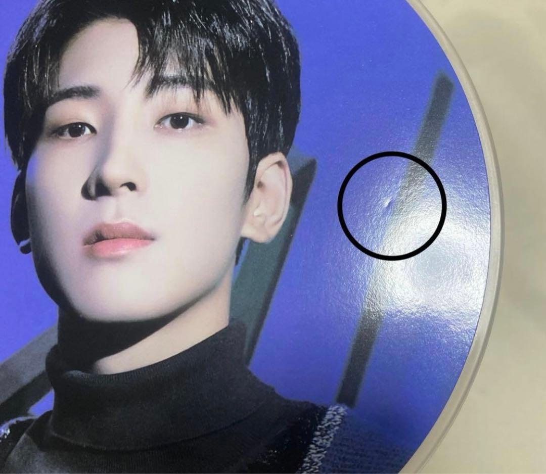 SEVENTEEN ウォヌ ホリコレ うちわ ピケット セブチ