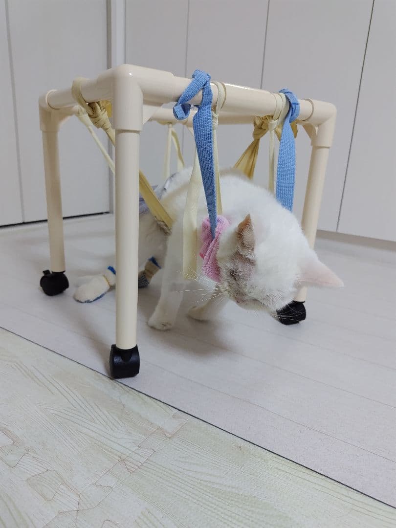 猫　歩行器　手作り