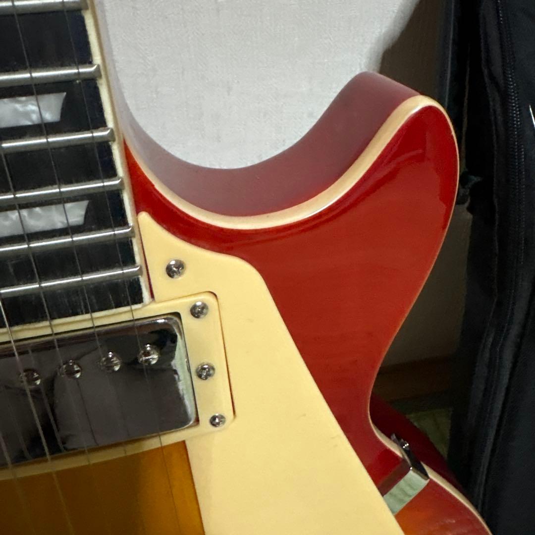 Maison メイソン エレキギター レスポールタイプ　楽器　ソフトケース付き