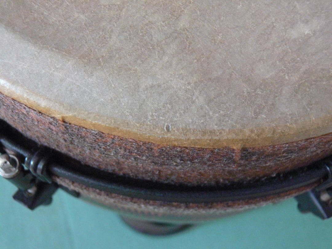 REMO Djembe ☆★軽量ファイバージャンベ　10インチ　専用レンチ付属★