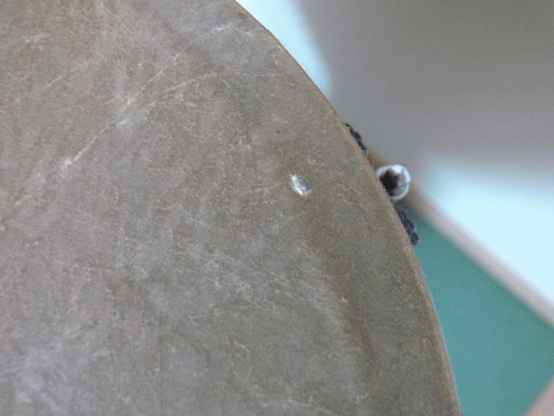 REMO Djembe ☆★軽量ファイバージャンベ　10インチ　専用レンチ付属★