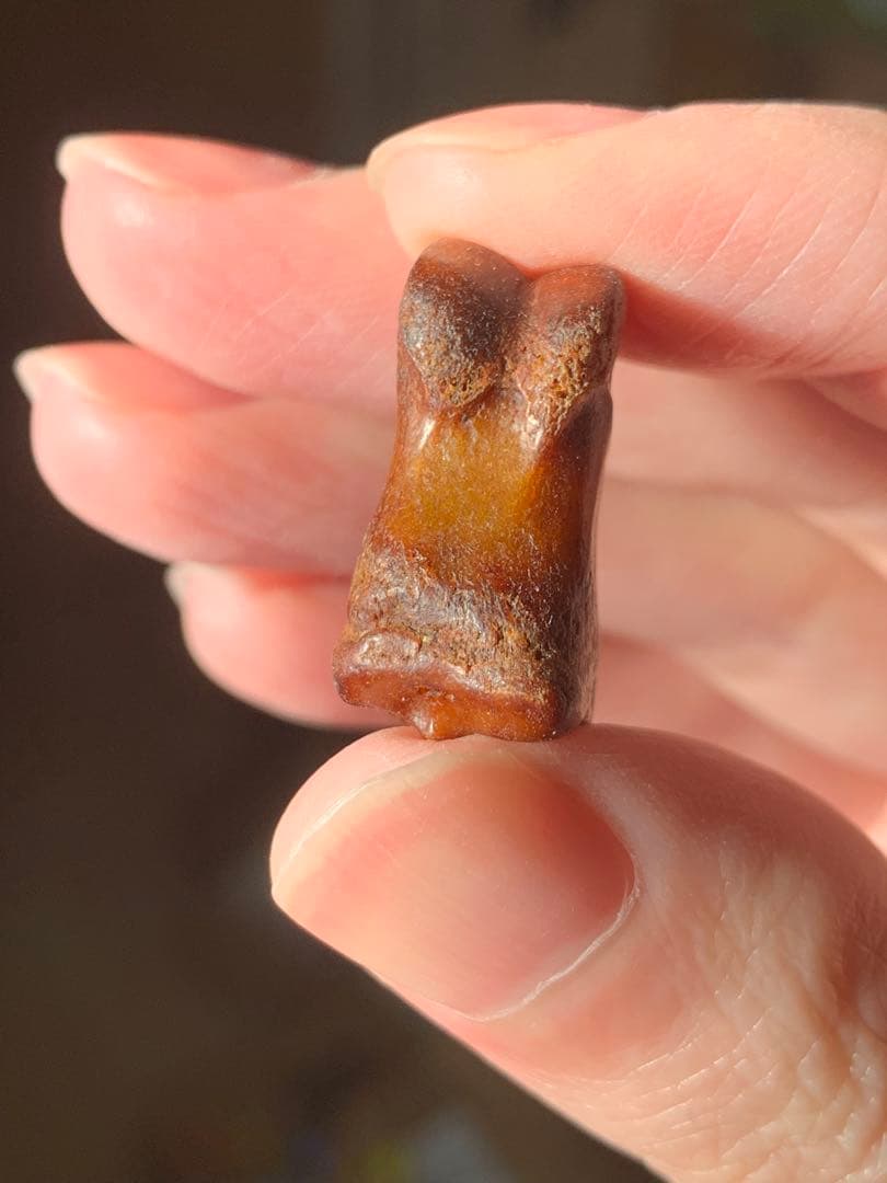 呪物　カパラ　チベット　カパーラ　頭蓋骨　クマントーン　プラクルアン　根付　密教