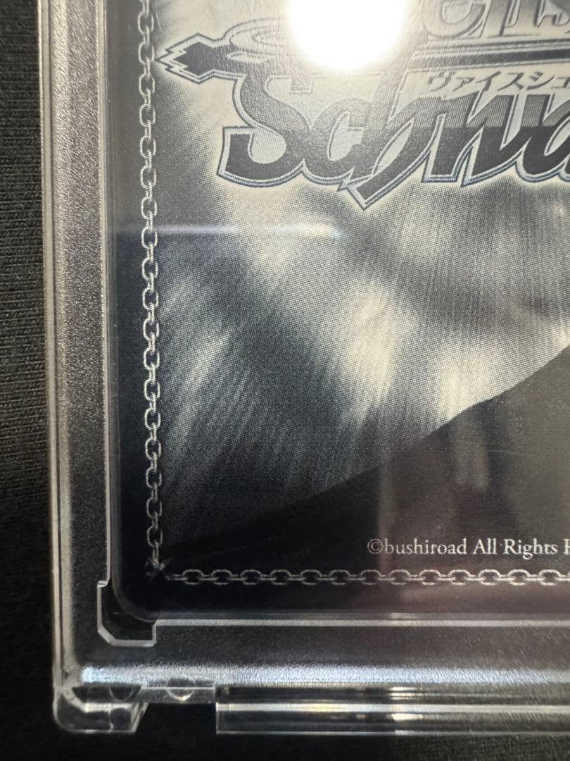 ヴァイスシュヴァルツ　青春ブタ野郎シリーズ　君と過ごした1年間　桜島麻衣　ABR