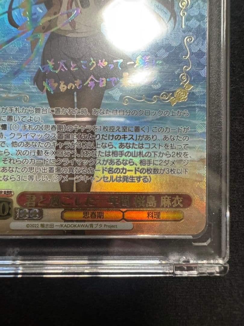 ヴァイスシュヴァルツ　青春ブタ野郎シリーズ　君と過ごした1年間　桜島麻衣　ABR
