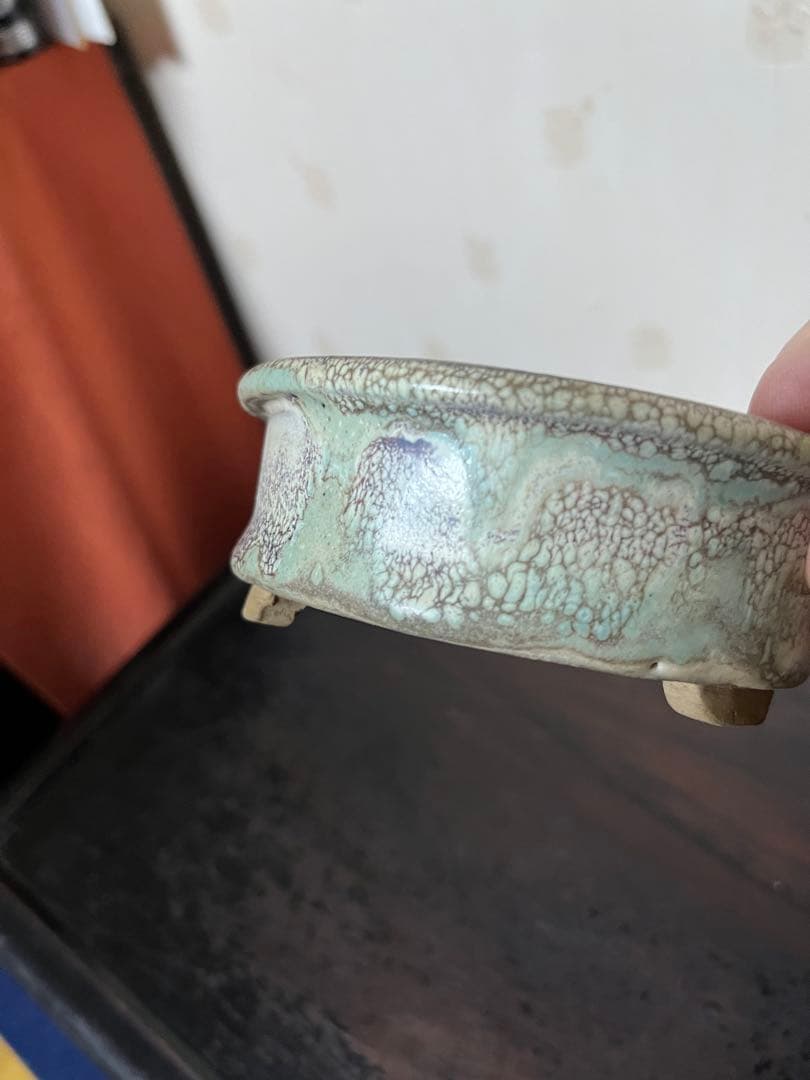 三河盆栽459 盆栽　盆栽鉢　植木鉢　和鉢　俊豪