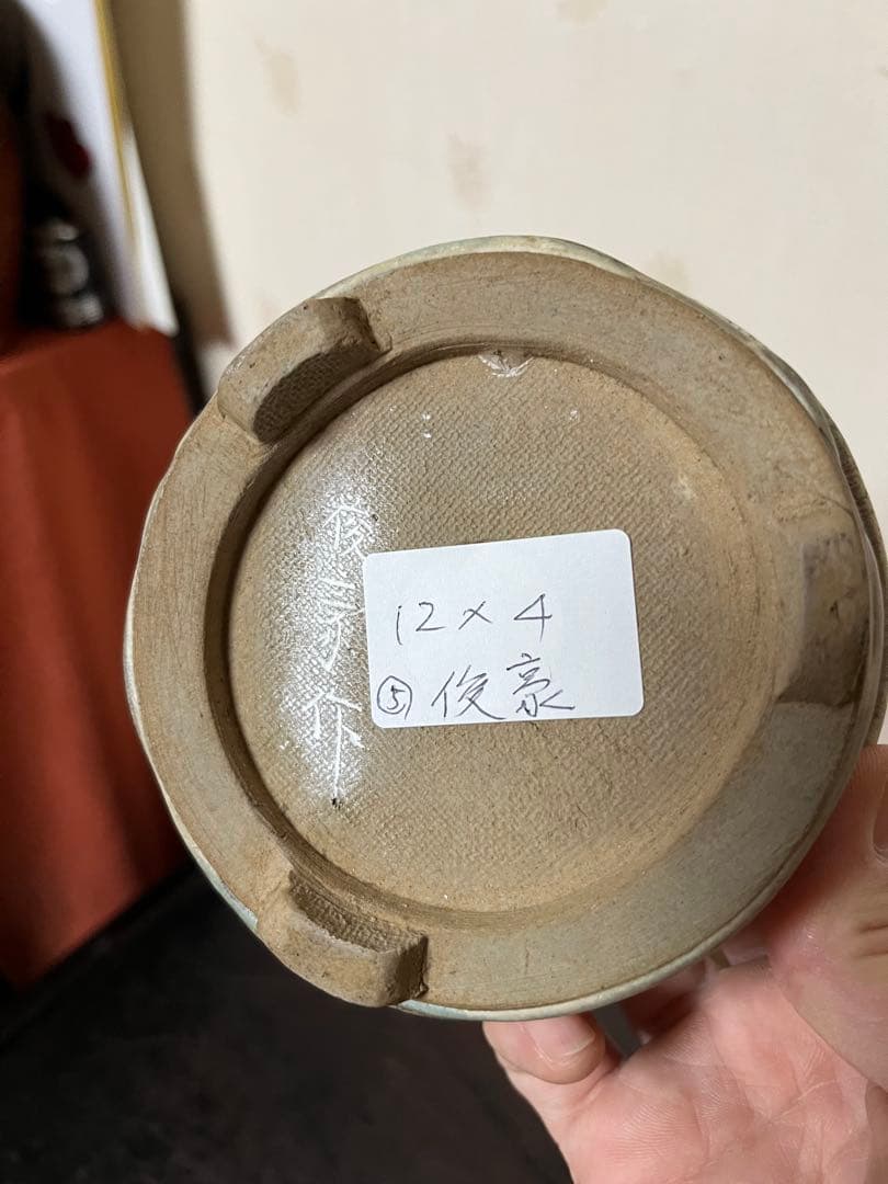 三河盆栽459 盆栽　盆栽鉢　植木鉢　和鉢　俊豪