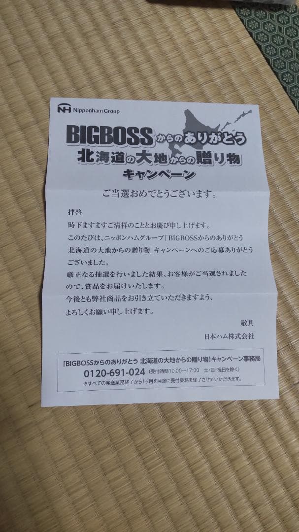 新庄　ビッグボス　ボブルヘッド