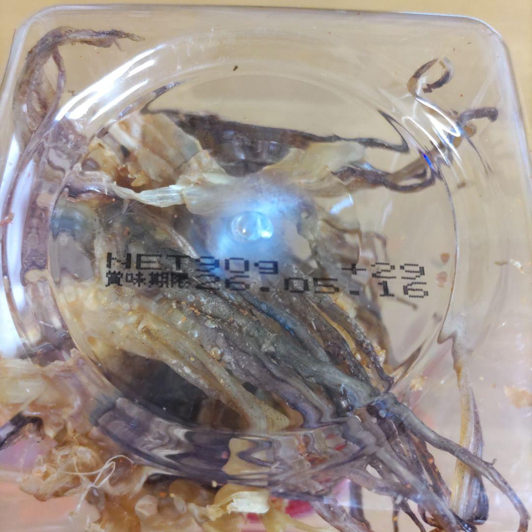 かめばかむほど　スルメ　おつまみ