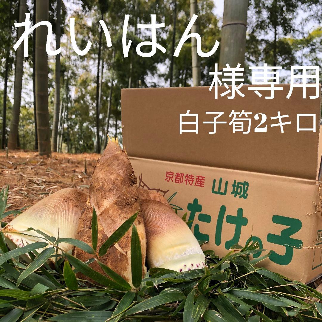 れいはん 白子筍2キロ箱込み