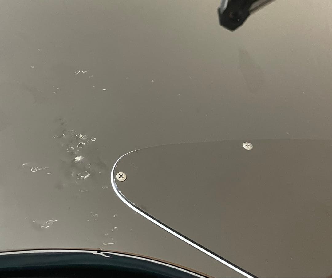 フェルナンデス MG-165X hideモデル サイケ Burny