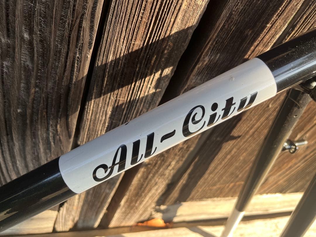 ALL-CITY オールシティ　ネイチャーボーイ　フレームセット　カンチブレーキ