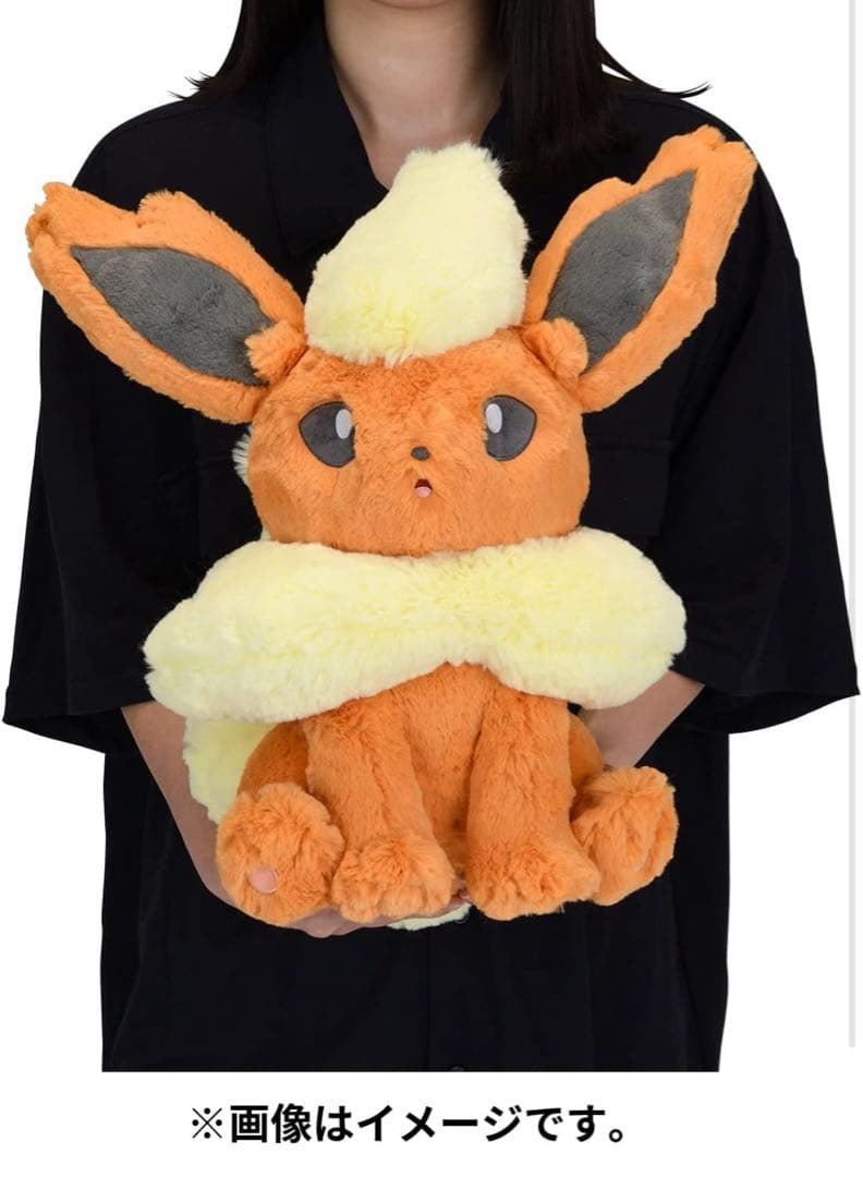 【新品未開封】ポケモンセンターオリジナル　ふわふわ抱きぬいぐるみ　ブースター