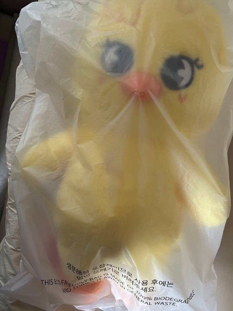 StrayKids 5CLOCK SKZOO テディベア ポガリ　ペンミ