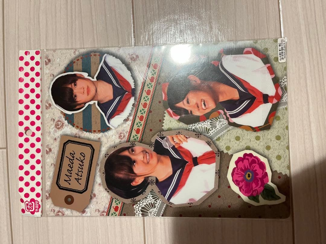 【レア品】AKB48 初期メンバーアルバム切手付き