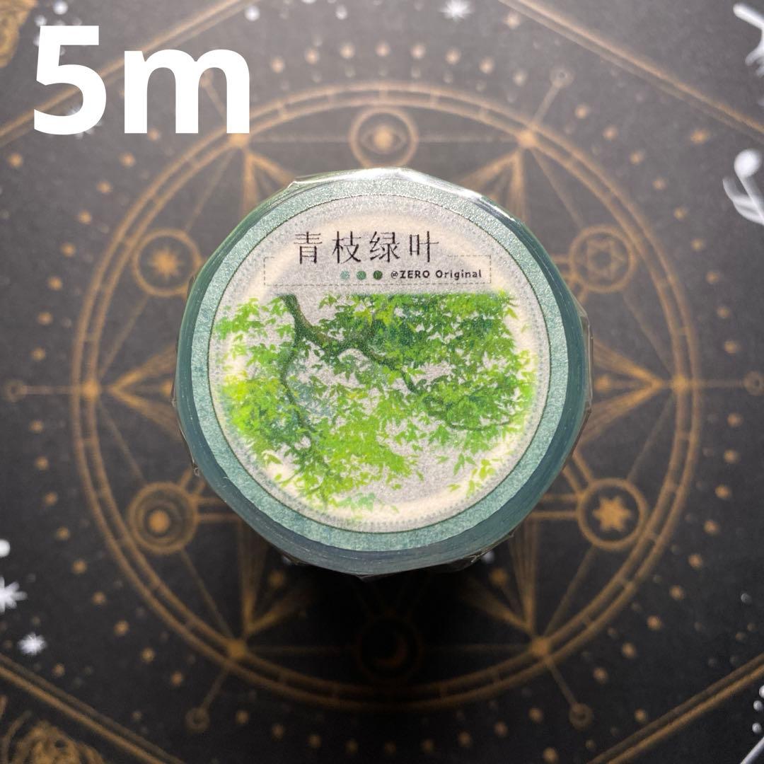 【8521】海外　マステ　5m巻売り　PETマスキングテープ