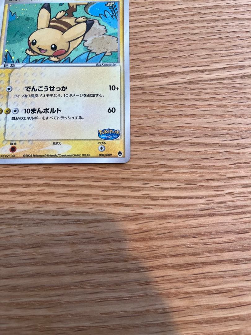 ポケパーク ピカチュウ