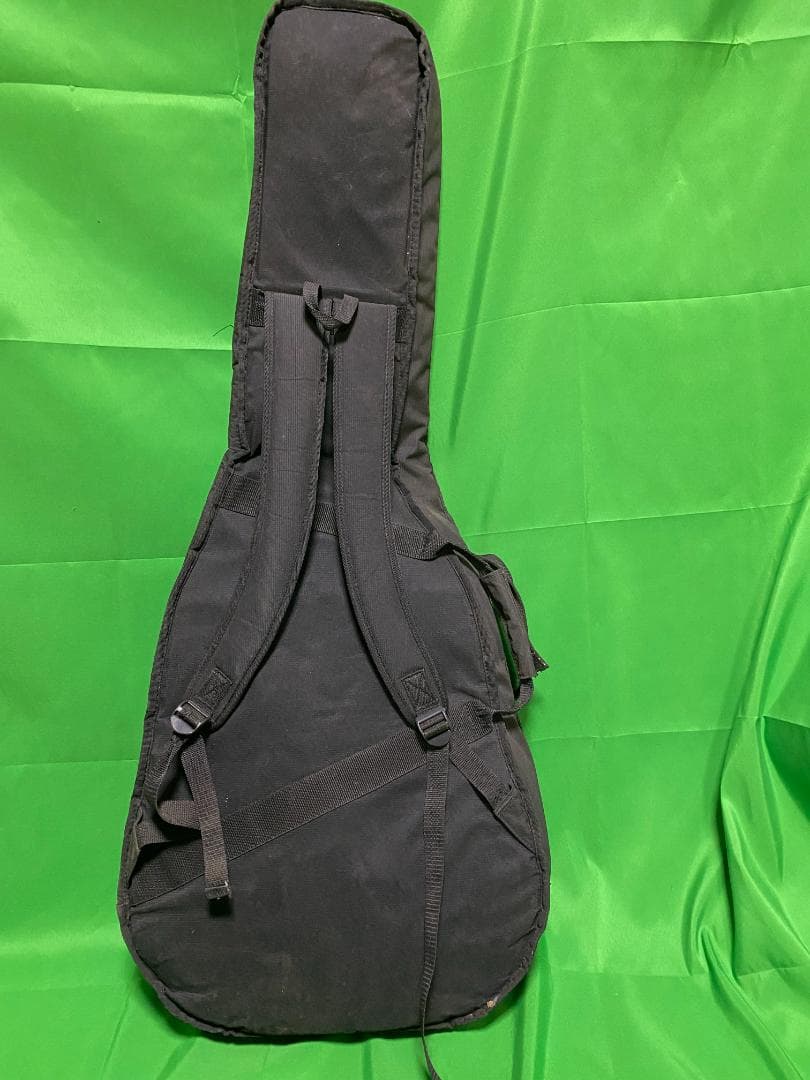 Greg Bennett RL4LTD White　セミアコ