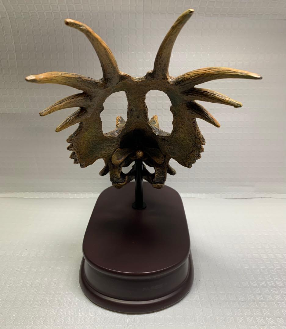 希少　FAVORITE フェバリット STYRACOSAURUS 1/10