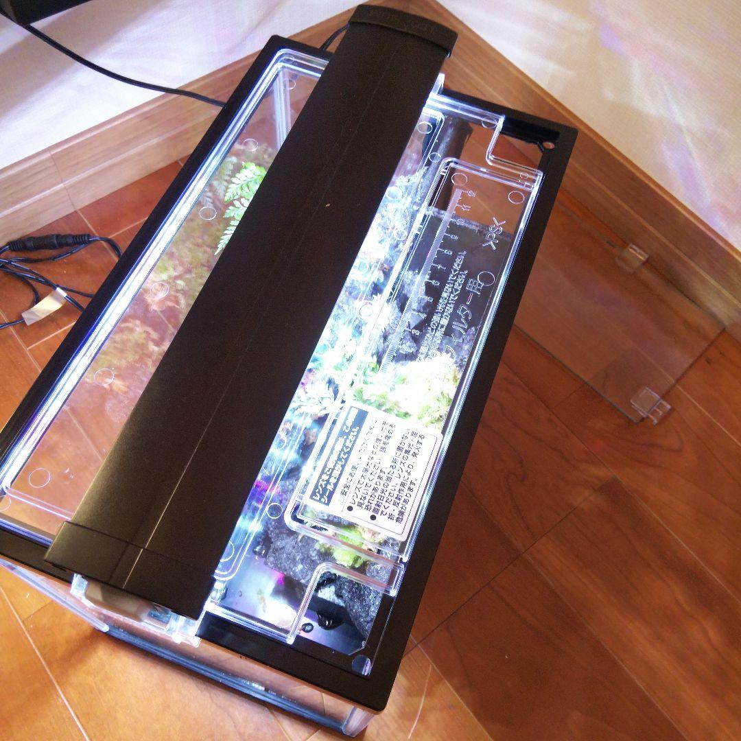 【受注生産】滝の流れるアクアテラリウム　イモリウム　苔　水槽　苔テラリウム