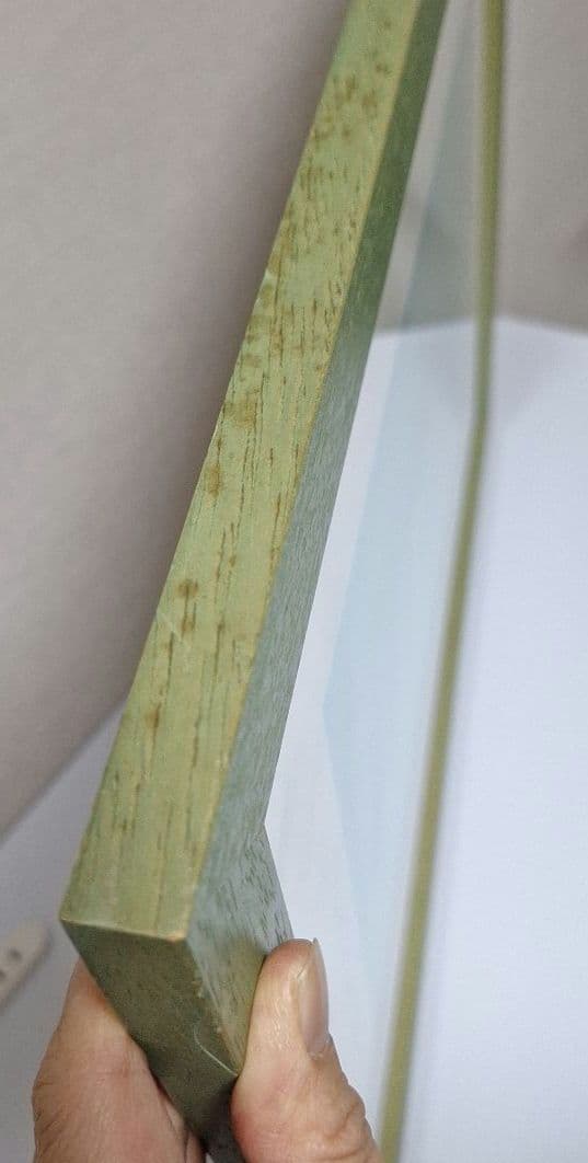 葉祥明　春のせせらぎ