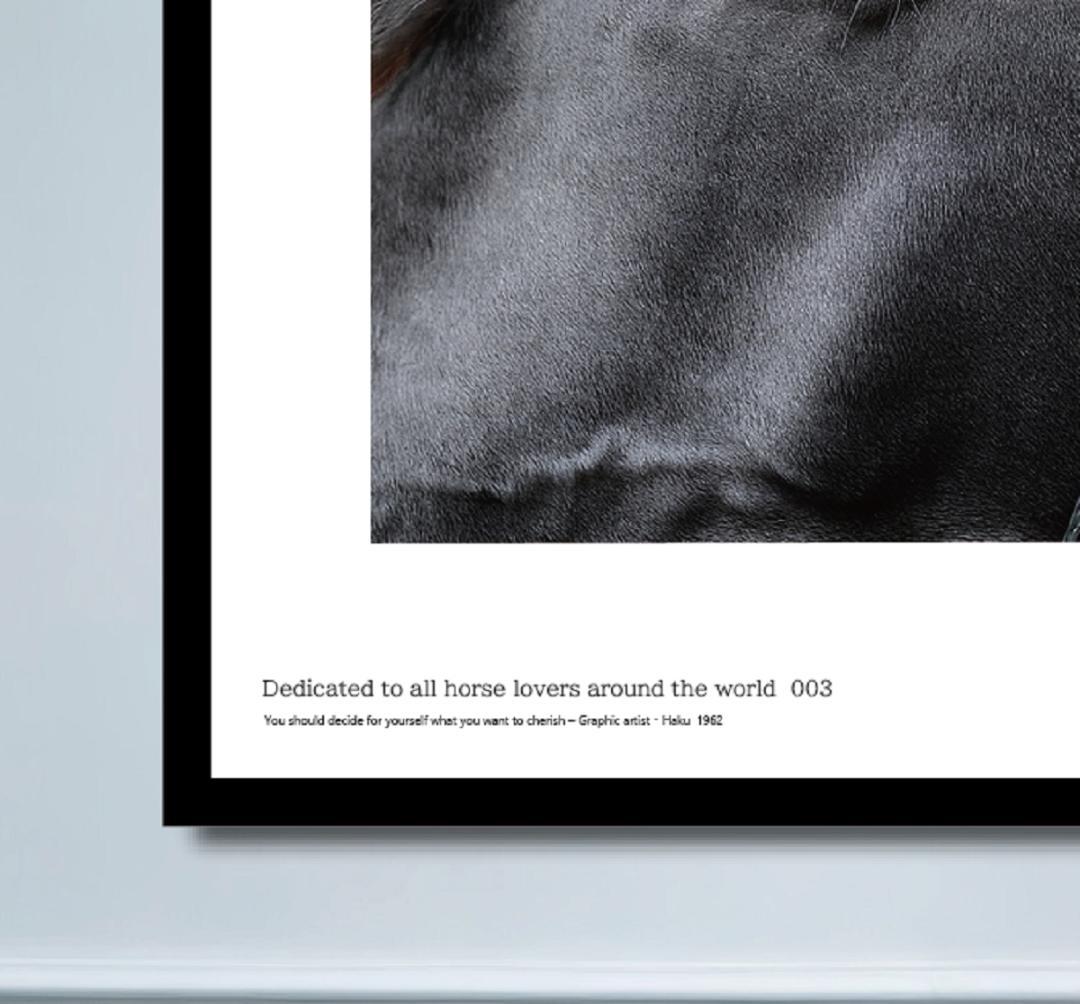 馬・No.003／アートポスター　400×500