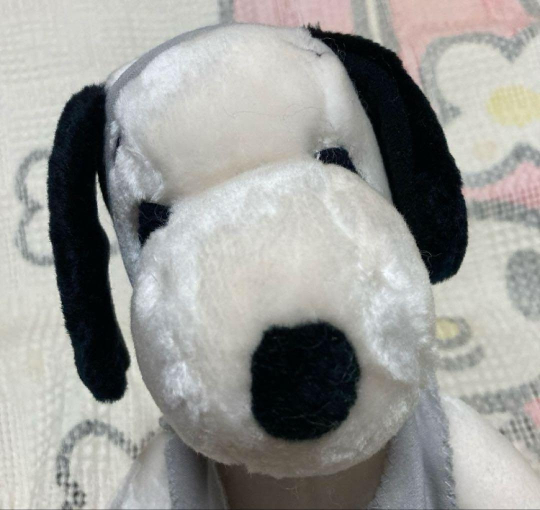 ファミリア　韓国　スヌーピー　Flashbeagle 中古品