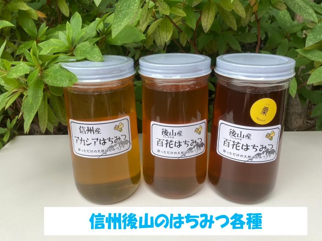 百花蜜 1000g 2本 長野県産 国産蜂蜜 はちみつ セイヨウミツバチ