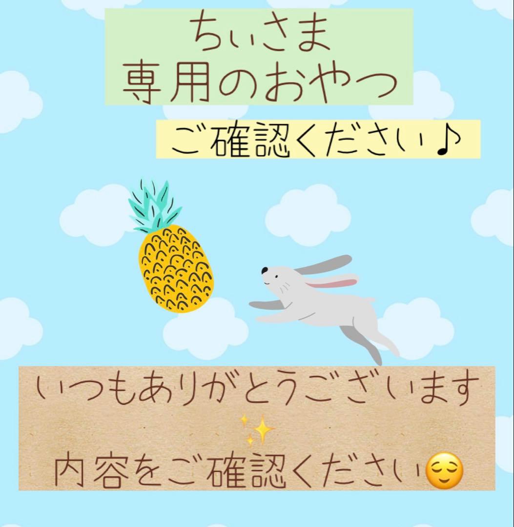 ちぃ様　チンチラちゃん専用のページ