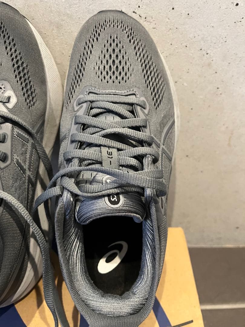 asics GEL-KAYANO31 サイズ25.0アシックスゲルカヤノ31美品