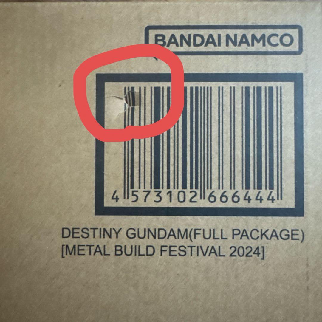 l build デスティニーガンダム フルパッケージ 2024