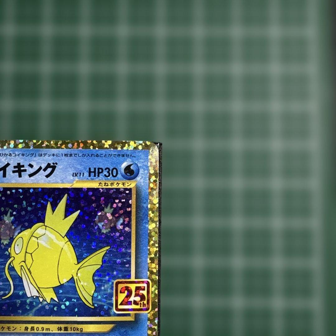 ひかるコイキング 25th ②