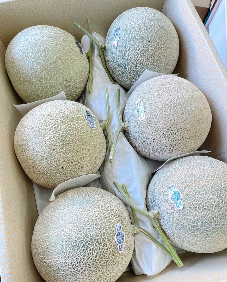 最高級クラウンメロン　温室マスクメロン　マスクメロン
