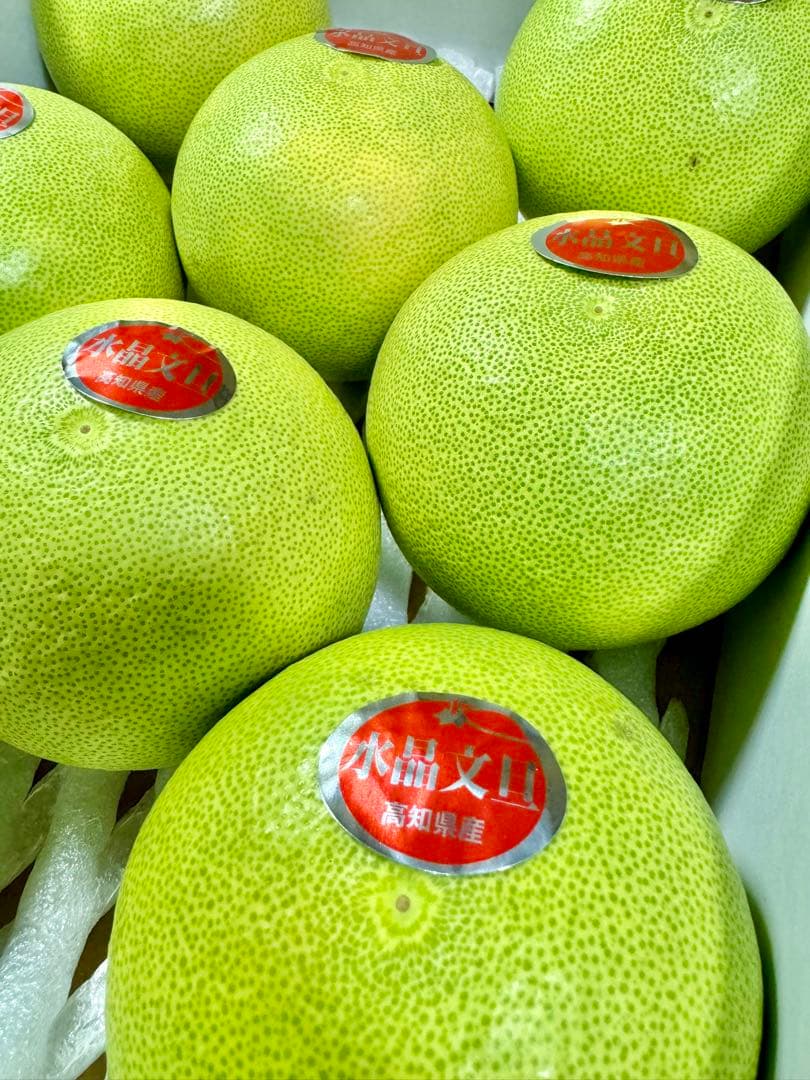 63高知特産 水晶文旦 8～6玉入 約3kg ×8箱 文旦 産地直送 送料無料